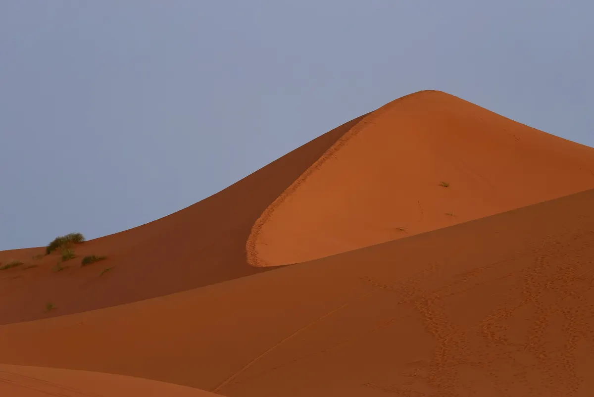 A sharp orange dune crest against a clear pale-blue sky, tracks across the near face and a few tufts of scrub on the far slope