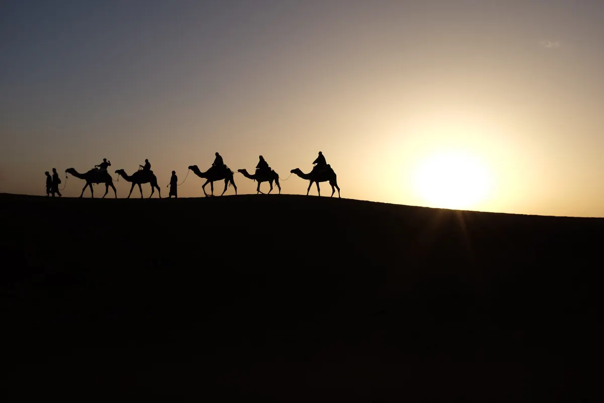 A line of camels with riders and walkers on foot, all in black silhouette on a dune ridge against a low bright sun