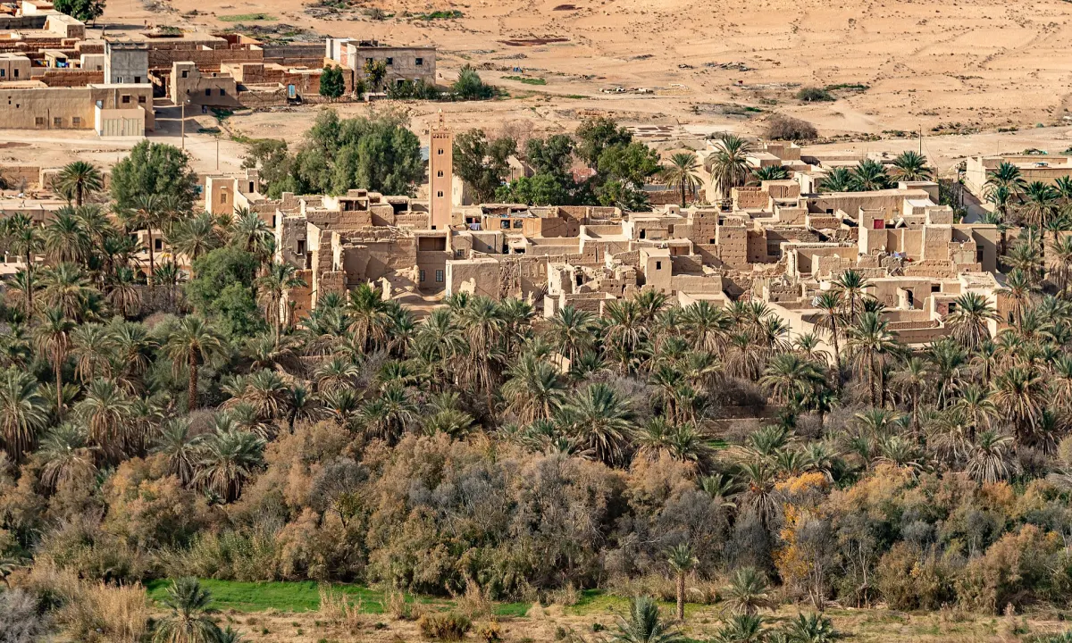 A mud-brick ksar with a square minaret standing inside a dense palm grove in the Ziz valley, with bare stony ground rising behind it